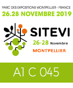 sitevi 2019