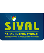 Sival