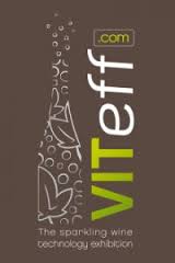 Logo-VITeff-2015