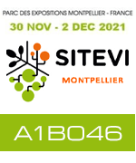 sitevi 2021